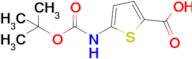 5-{[(tert-butoxy)carbonyl]amino}thiophene-2-carboxylic acid