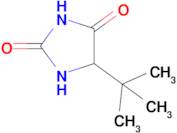 5-Tert-butylimidazolidine-2,4-dione