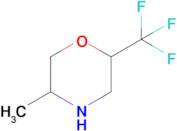 5-Methyl-2-(trifluoromethyl)morpholine