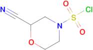 2-Cyanomorpholine-4-sulfonyl chloride