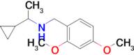 (1-Cyclopropylethyl)[(2,4-dimethoxyphenyl)methyl]amine