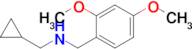 (Cyclopropylmethyl)[(2,4-dimethoxyphenyl)methyl]amine