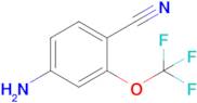 4-Amino-2-(trifluoromethoxy)benzonitrile