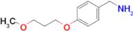 [4-(3-methoxypropoxy)phenyl]methanamine