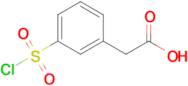 2-[3-(chlorosulfonyl)phenyl]acetic acid