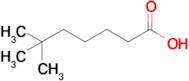 6,6-Dimethylheptanoic acid