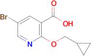 5-Bromo-2-(cyclopropylmethoxy)pyridine-3-carboxylic acid