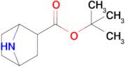 Tert-butyl 7-azabicyclo[2.2.1]heptane-2-carboxylate