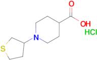 1-(Thiolan-3-yl)piperidine-4-carboxylic acid hydrochloride