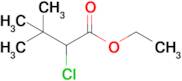 Ethyl 2-chloro-3,3-dimethylbutanoate