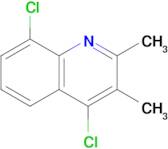 4,8-Dichloro-2,3-dimethylquinoline