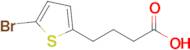 4-(5-Bromothiophen-2-yl)butanoic acid