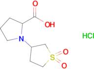 1-(1,1-Dioxo-1lambda6-thiolan-3-yl)pyrrolidine-2-carboxylic acid hydrochloride