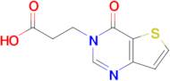 3-{4-oxo-3h,4h-thieno[3,2-d]pyrimidin-3-yl}propanoic acid