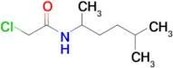 2-Chloro-n-(5-methylhexan-2-yl)acetamide