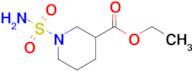 Ethyl 1-sulfamoylpiperidine-3-carboxylate