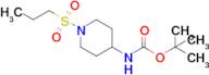 Tert-butyl n-[1-(propane-1-sulfonyl)piperidin-4-yl]carbamate