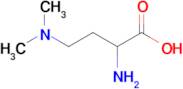 2-Amino-4-(dimethylamino)butanoic acid