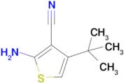 2-Amino-4-(tert-butyl)thiophene-3-carbonitrile