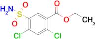 Ethyl 2,4-dichloro-5-sulfamoylbenzoate