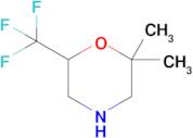 2,2-Dimethyl-6-(trifluoromethyl)morpholine