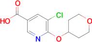 5-Chloro-6-(oxan-4-yloxy)pyridine-3-carboxylic acid