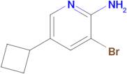 3-Bromo-5-cyclobutylpyridin-2-amine