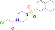 2-Chloro-1-[4-(5,6,7,8-tetrahydronaphthalene-2-sulfonyl)piperazin-1-yl]ethan-1-one