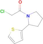 2-Chloro-1-[2-(thiophen-2-yl)pyrrolidin-1-yl]ethan-1-one