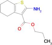 Propyl 2-amino-4,5,6,7-tetrahydro-1-benzothiophene-3-carboxylate