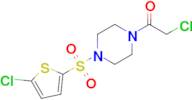 2-Chloro-1-{4-[(5-chlorothiophen-2-yl)sulfonyl]piperazin-1-yl}ethan-1-one