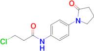 3-Chloro-n-[4-(2-oxopyrrolidin-1-yl)phenyl]propanamide