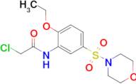 2-Chloro-n-[2-ethoxy-5-(morpholine-4-sulfonyl)phenyl]acetamide