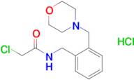 2-Chloro-n-({2-[(morpholin-4-yl)methyl]phenyl}methyl)acetamide hydrochloride