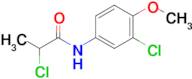 2-Chloro-n-(3-chloro-4-methoxyphenyl)propanamide