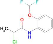 2-Chloro-n-[2-(difluoromethoxy)phenyl]propanamide