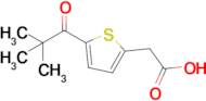 2-[5-(2,2-dimethylpropanoyl)thiophen-2-yl]acetic acid