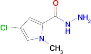 4-Chloro-1-methyl-1h-pyrrole-2-carbohydrazide