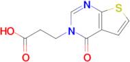 3-{4-oxo-3h,4h-thieno[2,3-d]pyrimidin-3-yl}propanoic acid