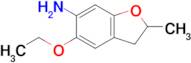 5-Ethoxy-2-methyl-2,3-dihydro-1-benzofuran-6-amine