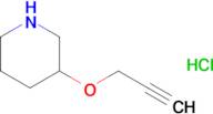 3-(Prop-2-yn-1-yloxy)piperidine hydrochloride