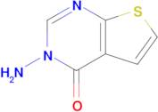 3-Amino-3h,4h-thieno[2,3-d]pyrimidin-4-one