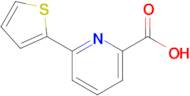 6-(Thiophen-2-yl)pyridine-2-carboxylic acid