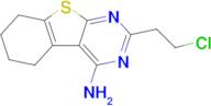 5-(2-Chloroethyl)-8-thia-4,6-diazatricyclo[7.4.0.0,2,7]trideca-1(9),2,4,6-tetraen-3-amine