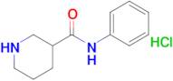 n-Phenylpiperidine-3-carboxamide hydrochloride