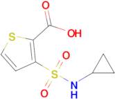 3-(Cyclopropylsulfamoyl)thiophene-2-carboxylic acid