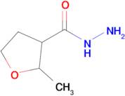 2-Methyloxolane-3-carbohydrazide
