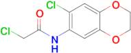 2-Chloro-n-(7-chloro-2,3-dihydro-1,4-benzodioxin-6-yl)acetamide