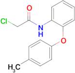 2-Chloro-n-[2-(4-methylphenoxy)phenyl]acetamide