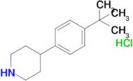 4-(4-Tert-butylphenyl)piperidine hydrochloride